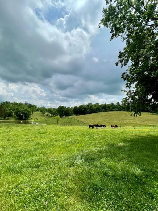 Bourbon Trail Cabin On The Farm Lawrenceburg Bagian luar foto