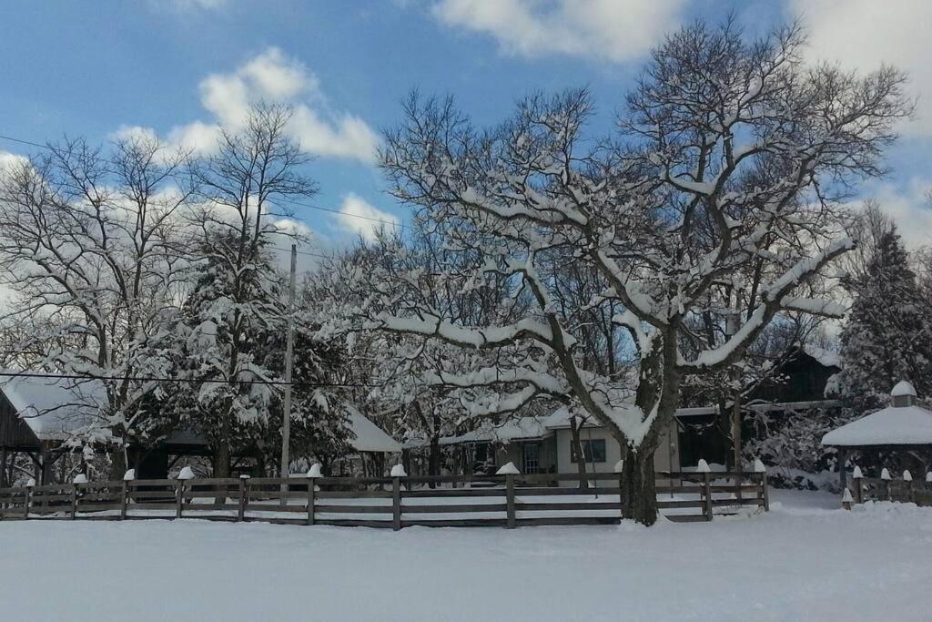Bourbon Trail Cabin On The Farm Lawrenceburg Bagian luar foto
