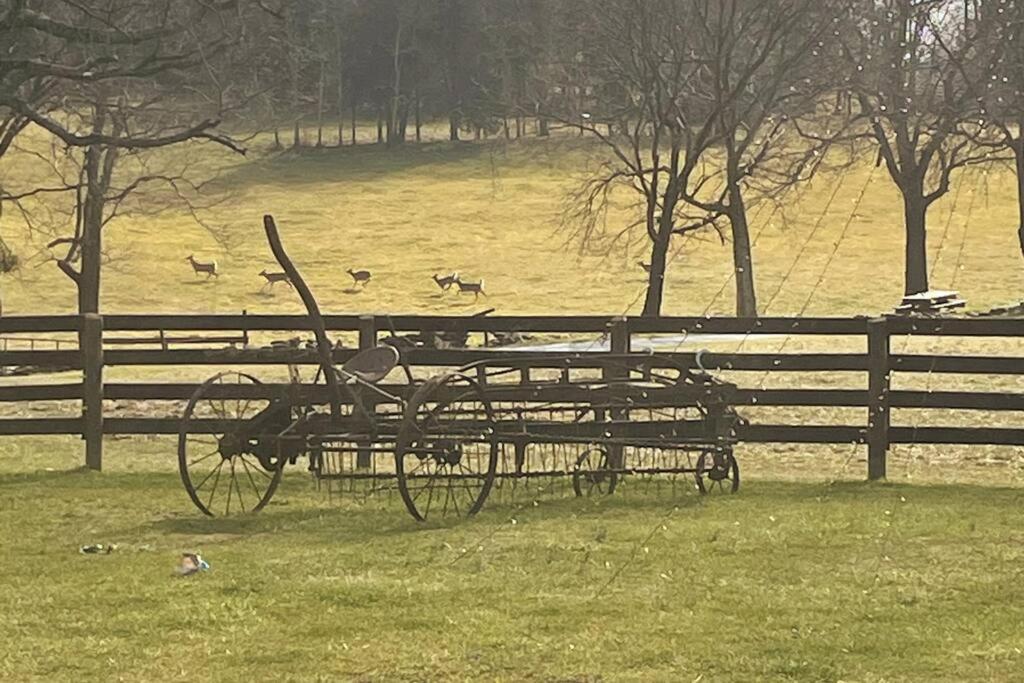 Bourbon Trail Cabin On The Farm Lawrenceburg Bagian luar foto