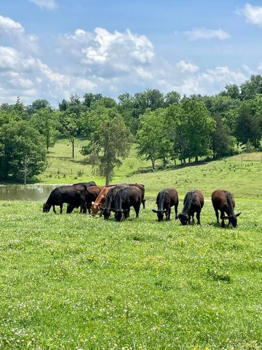Bourbon Trail Cabin On The Farm Lawrenceburg Bagian luar foto